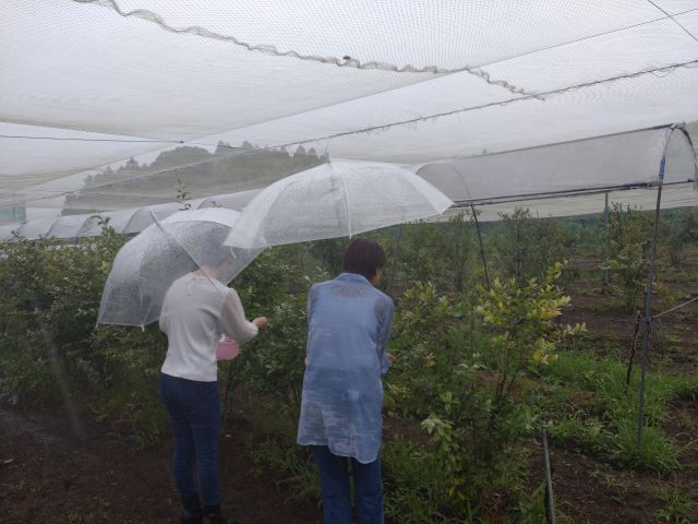 雨の中でも、頑張る母娘