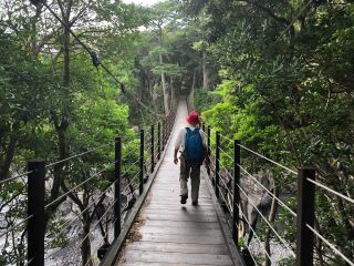 切り立った崖にかかる橋立の吊り橋