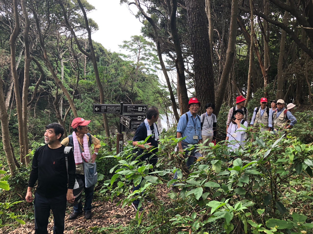 ������̎��R�т����