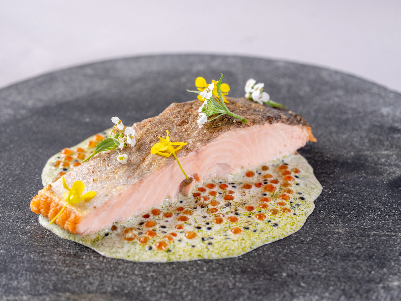 �C���[�W�摜