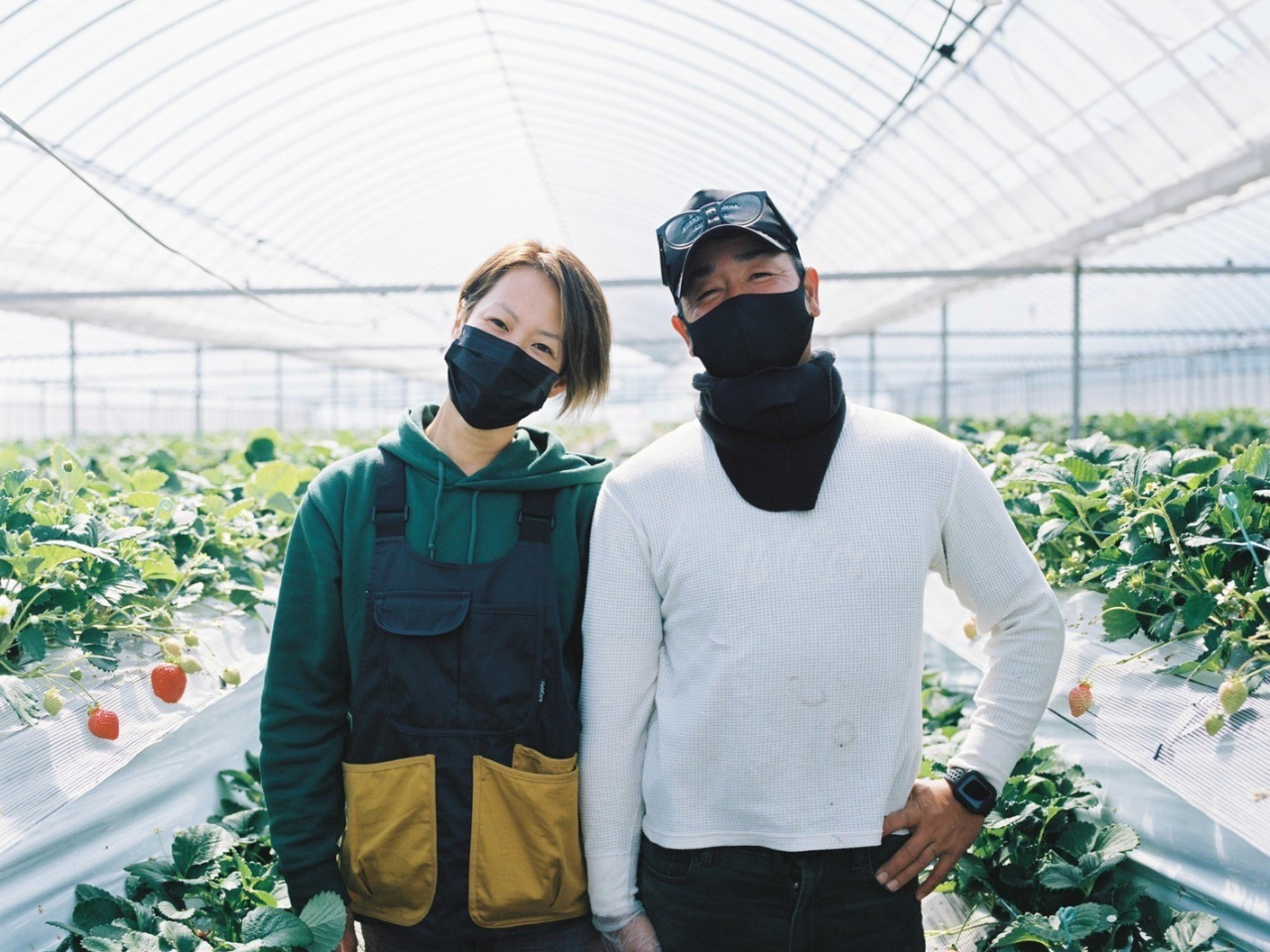 �������v�w����ŃC�`�S�͔̍|�����Ă��܂���