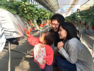 お子様でも手に届く高さになっております♪