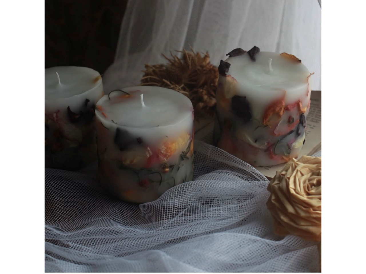 �ʃv�����ł́A���ۂ̂��Ԃ��g�����L�����h��������肢�������܂���