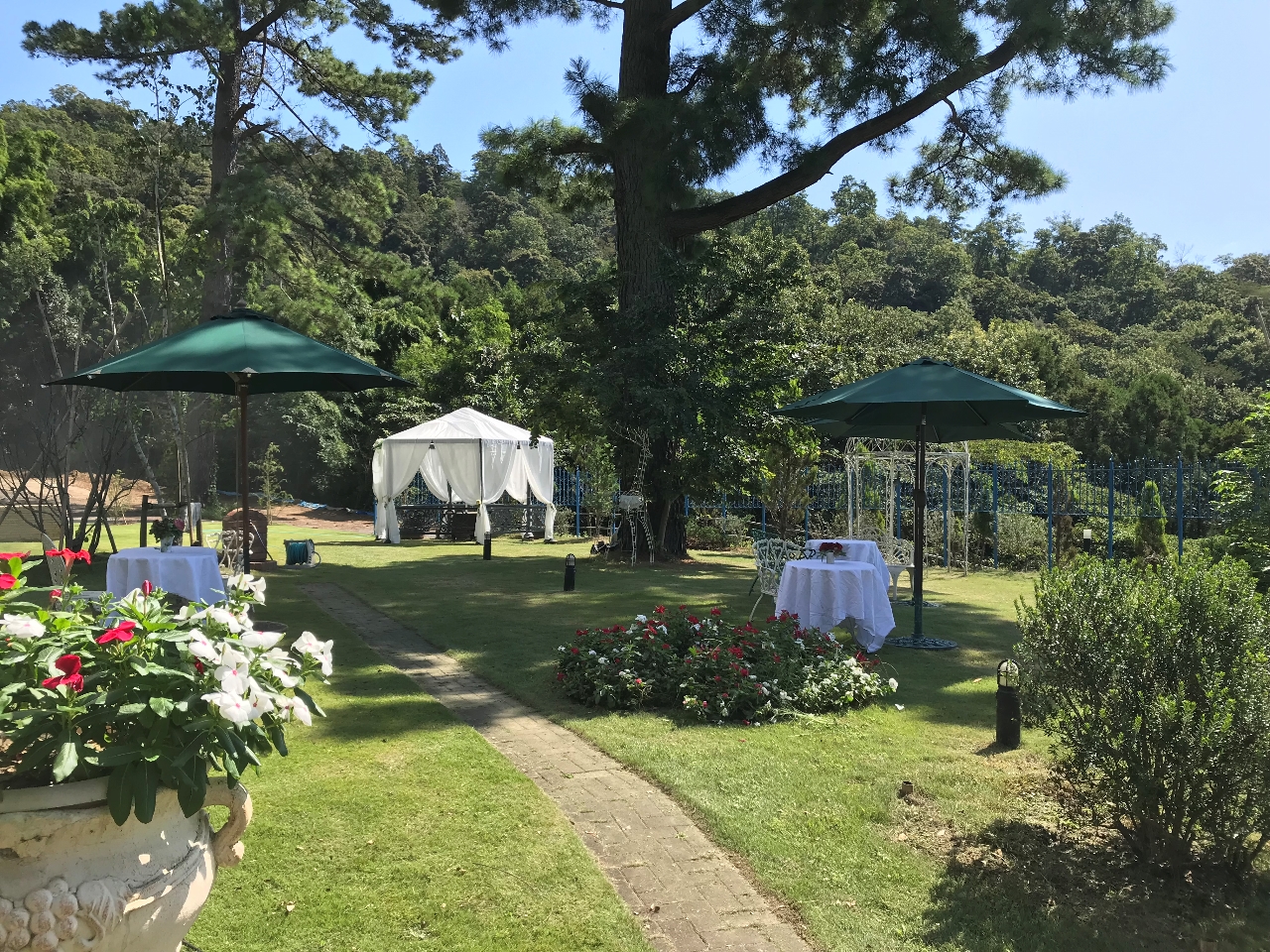 隣接しているガーデン