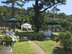 隣接しているガーデン