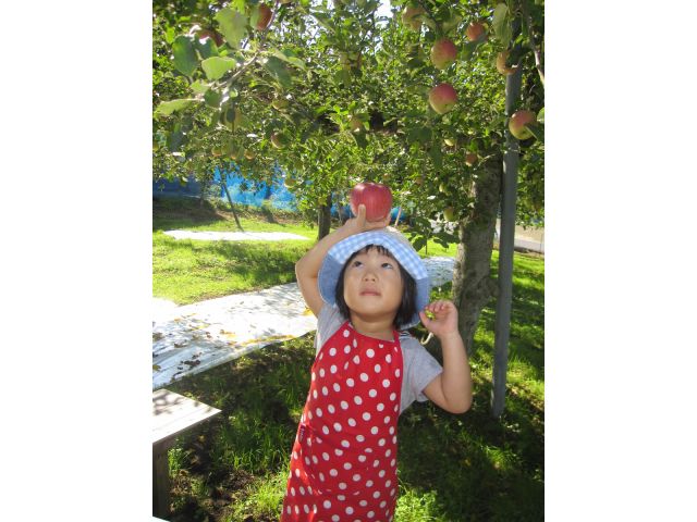 小さなお子様でも大丈夫