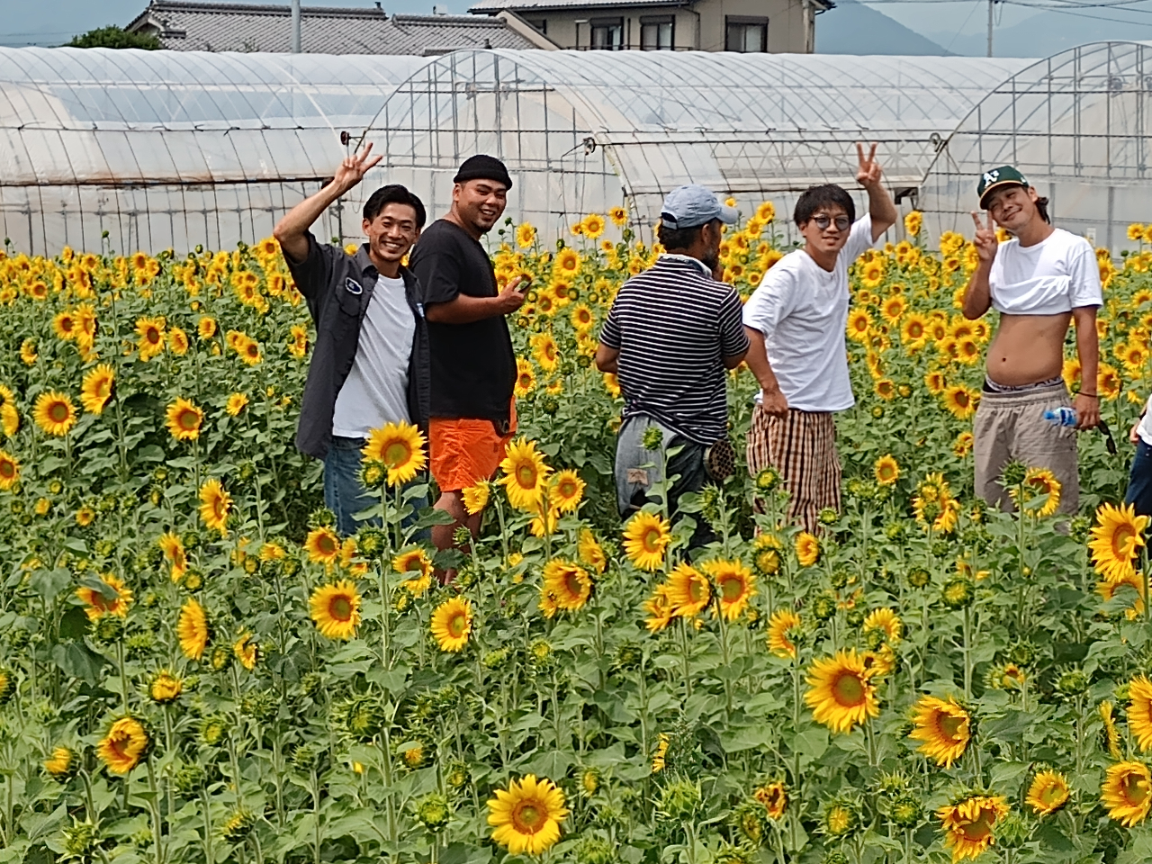 AWA-Blueberry�t�@�[���ׂ̗ɂ͖�2,000�������[�g���̃q�}������������A�O���O�����H�����Ȃ������}�����܂��B