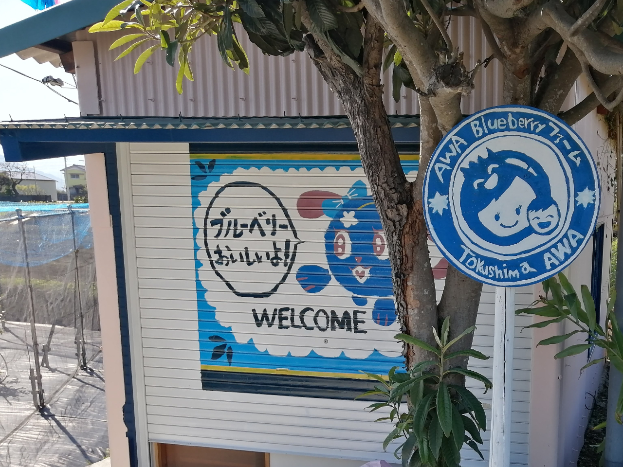 I[vOɂ́A킢炵Vb^[WELCOMCXg܂I