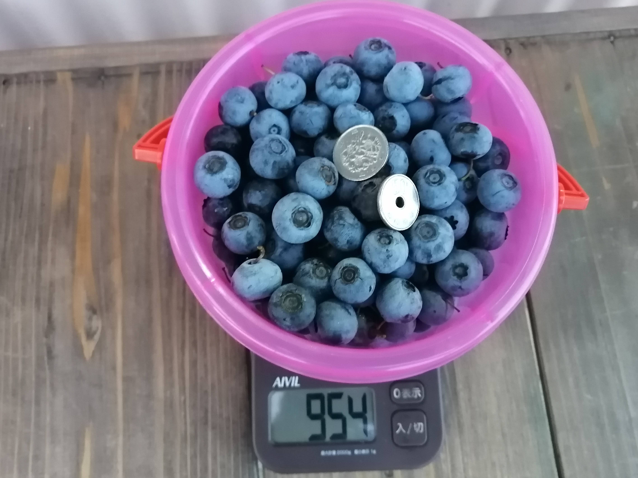 ʂ100~ʃTCỸu[x[Eݎ܂Iʏ1O6~łAł܂AoPc̏ꍇ4,500~łII