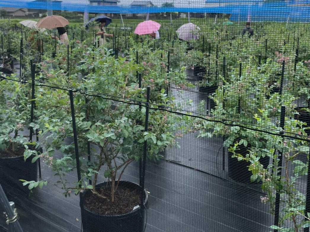 J~ĂĂhV[g~ݍς݂Ȃ̂őXbLII邵A҂ȂĂЂƂJ̓̓bL[dayHI