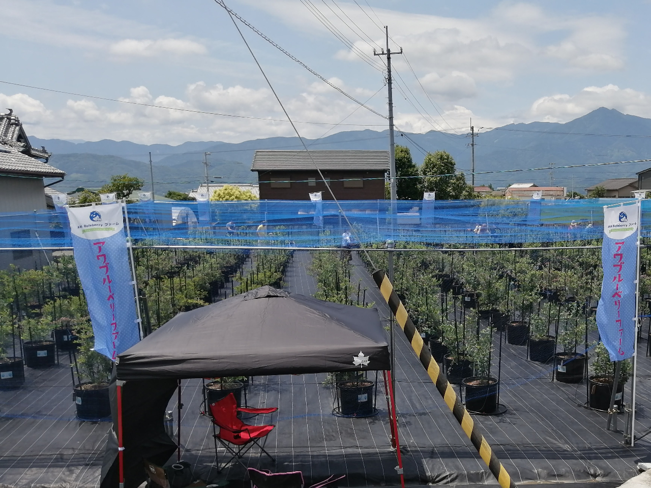 �����������ɂ��ꂽ�Ƃ��̓^�[�v�̉��ŋx�e���ǂ����I�I