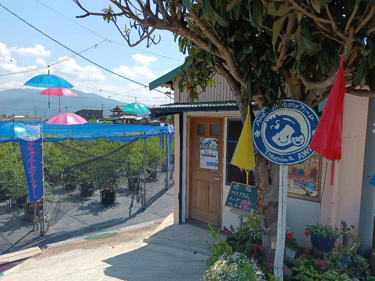 ���킢�炵�����S�}�[�N�ŔƃA���u�����X�J�C�����o�}������_��������I����䂢�ł���`