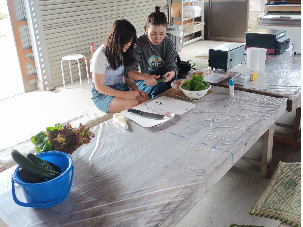 �e�q�Ő^���ɂ��������ł��I