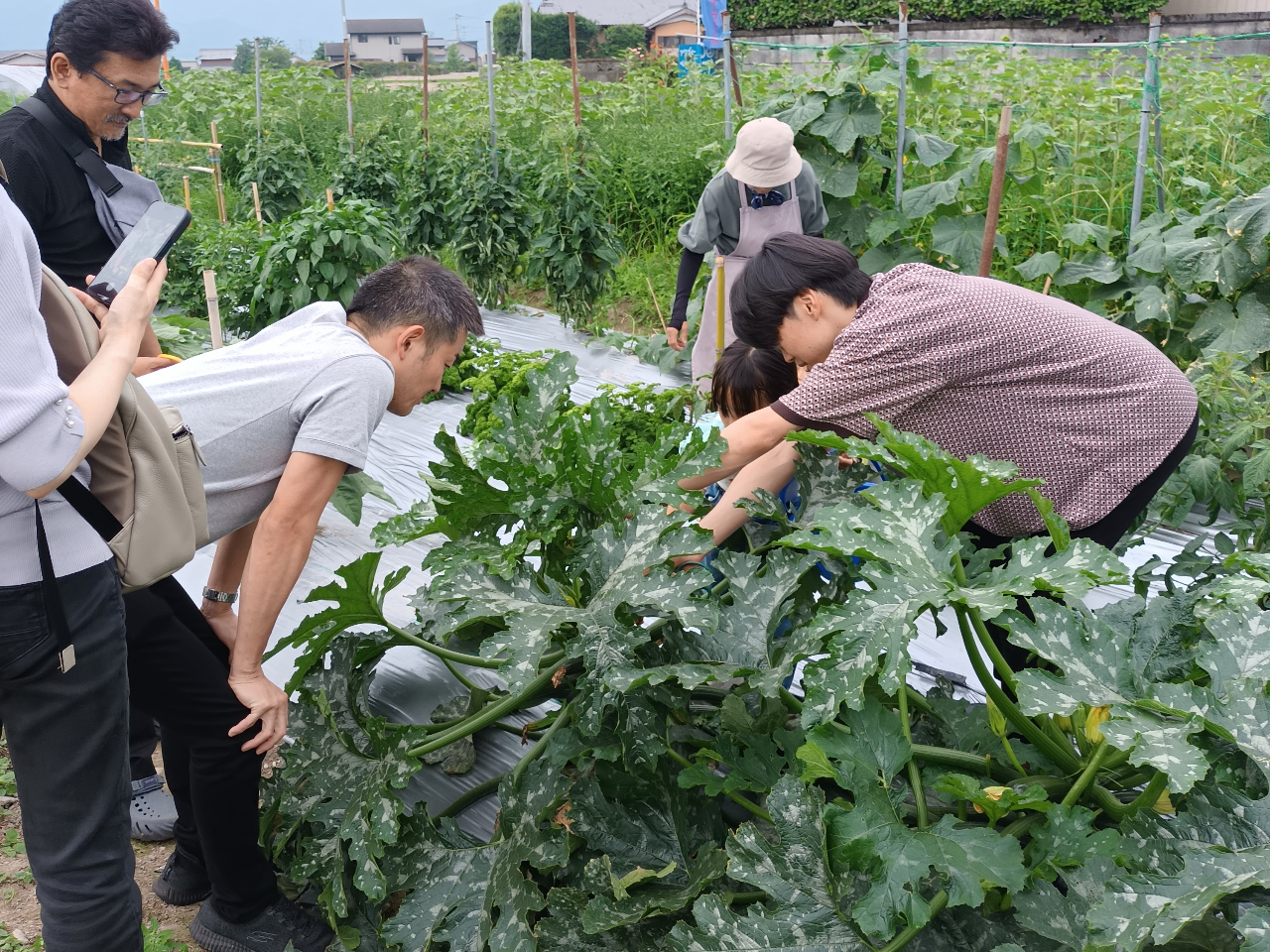 ����؂͂���ȕ��Ɏ����őI��ō̂��Ă��炢�܂��`