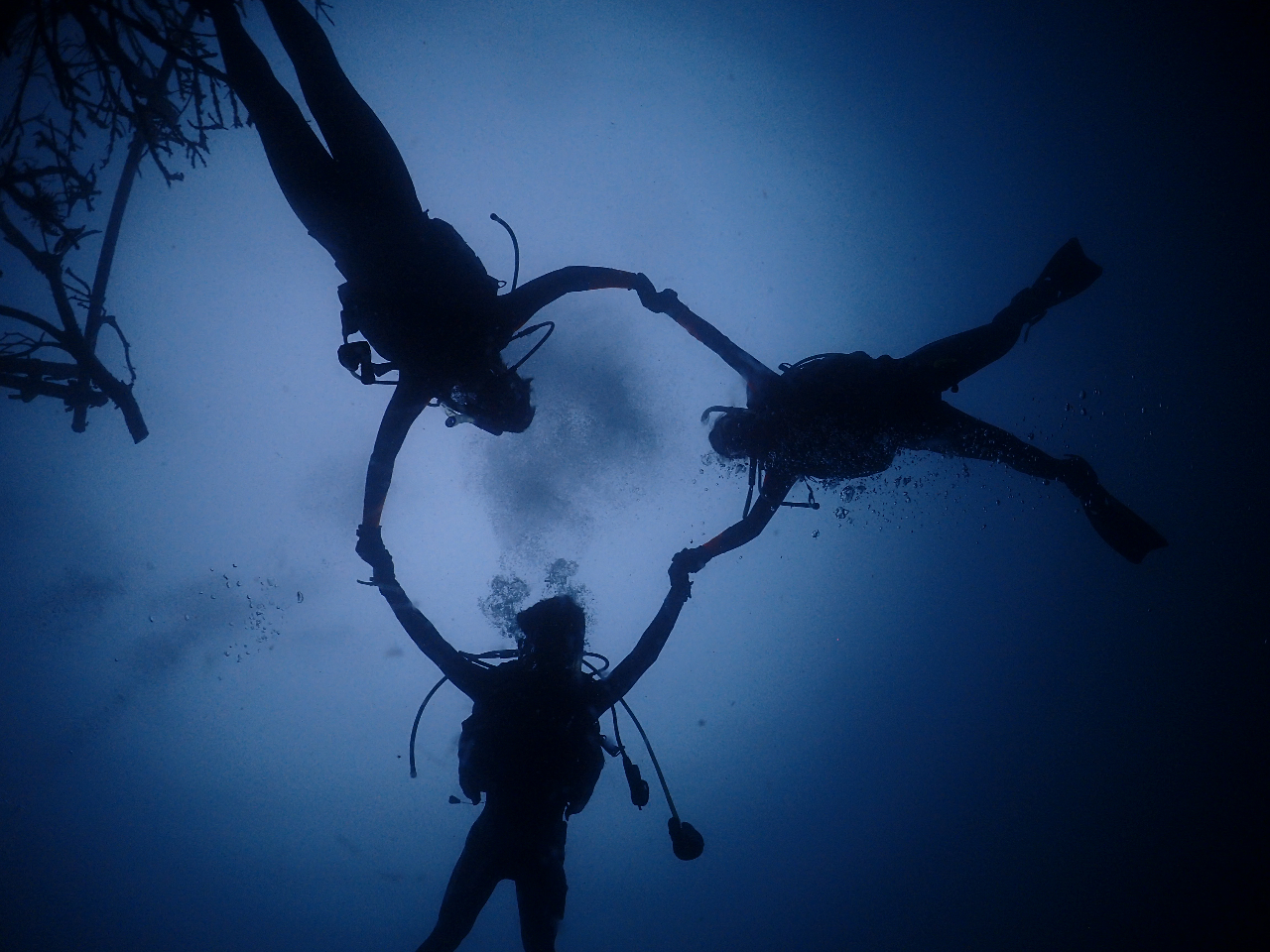 【1円】久しぶりダイバー向け・復帰前チェック相談