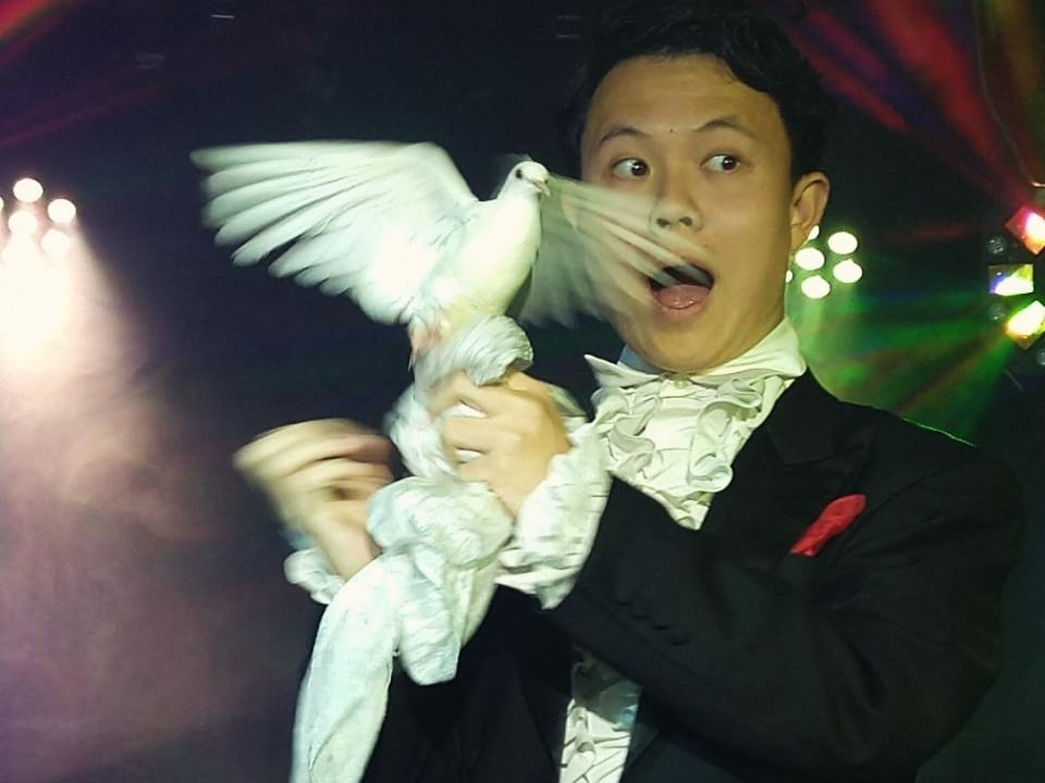 福井の意外な観光スポット!カップル、お子様連れ大歓迎!大迫力マジックショーを体感...