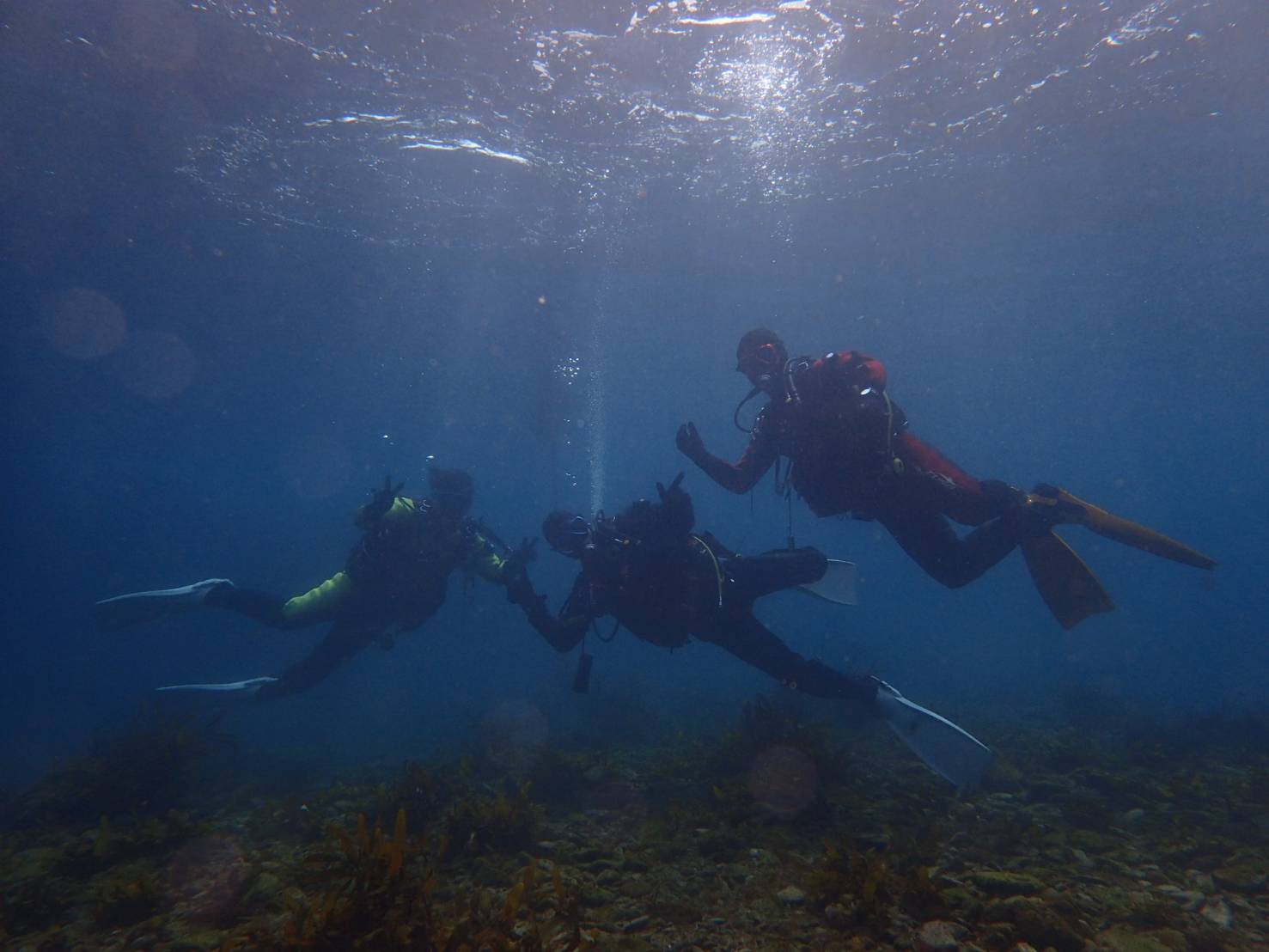 【ファンダイビング】勝浦 鵜原で2ビーチ