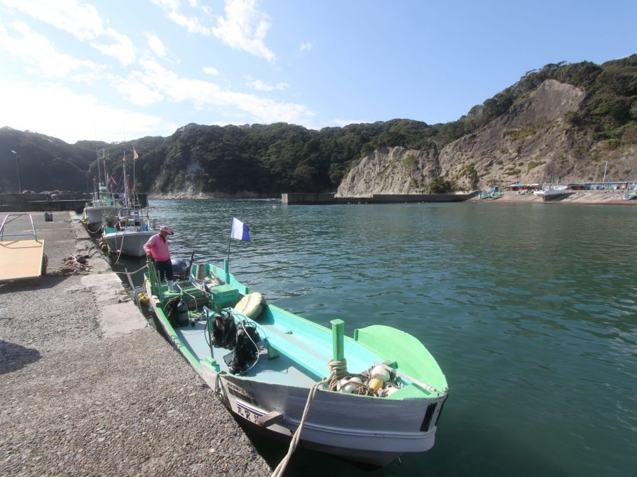 【ファンダイビング】なめがわ プチボートで2ビーチ