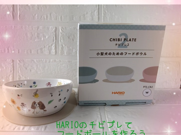 ���^���p�̃`�r�v�����������낤�I�I