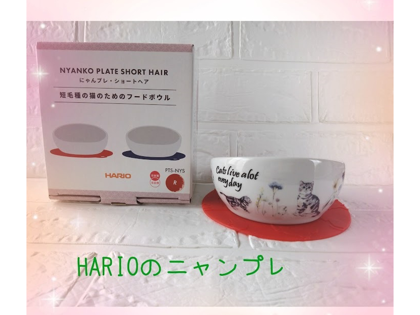 �Z�єL�����p�̂ɂ��v���B