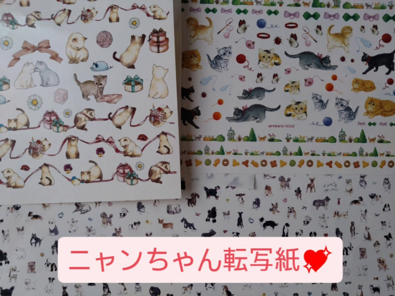 �p�œ]�ʎ�������܂��I�I