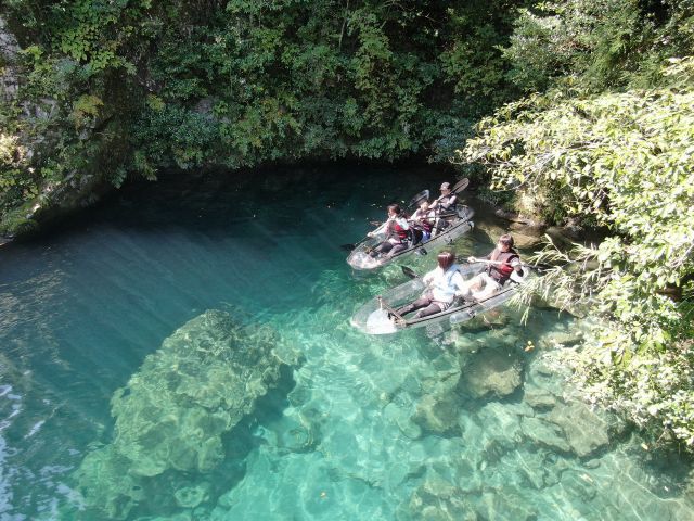 木々の生い茂る自然