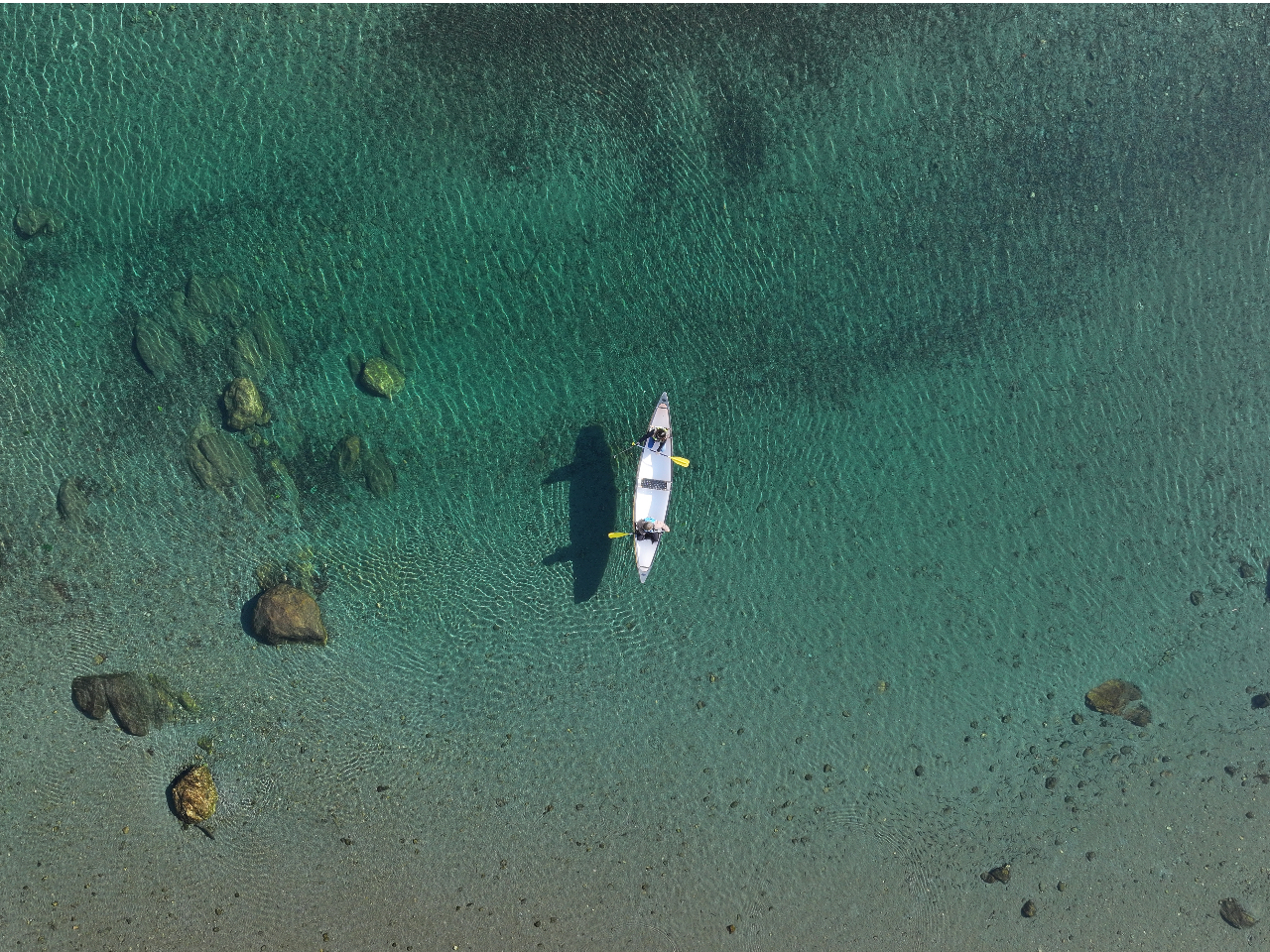 ��󂩂�̃h���[���B�e�Őm���u���\�ƈ�̉��I�H