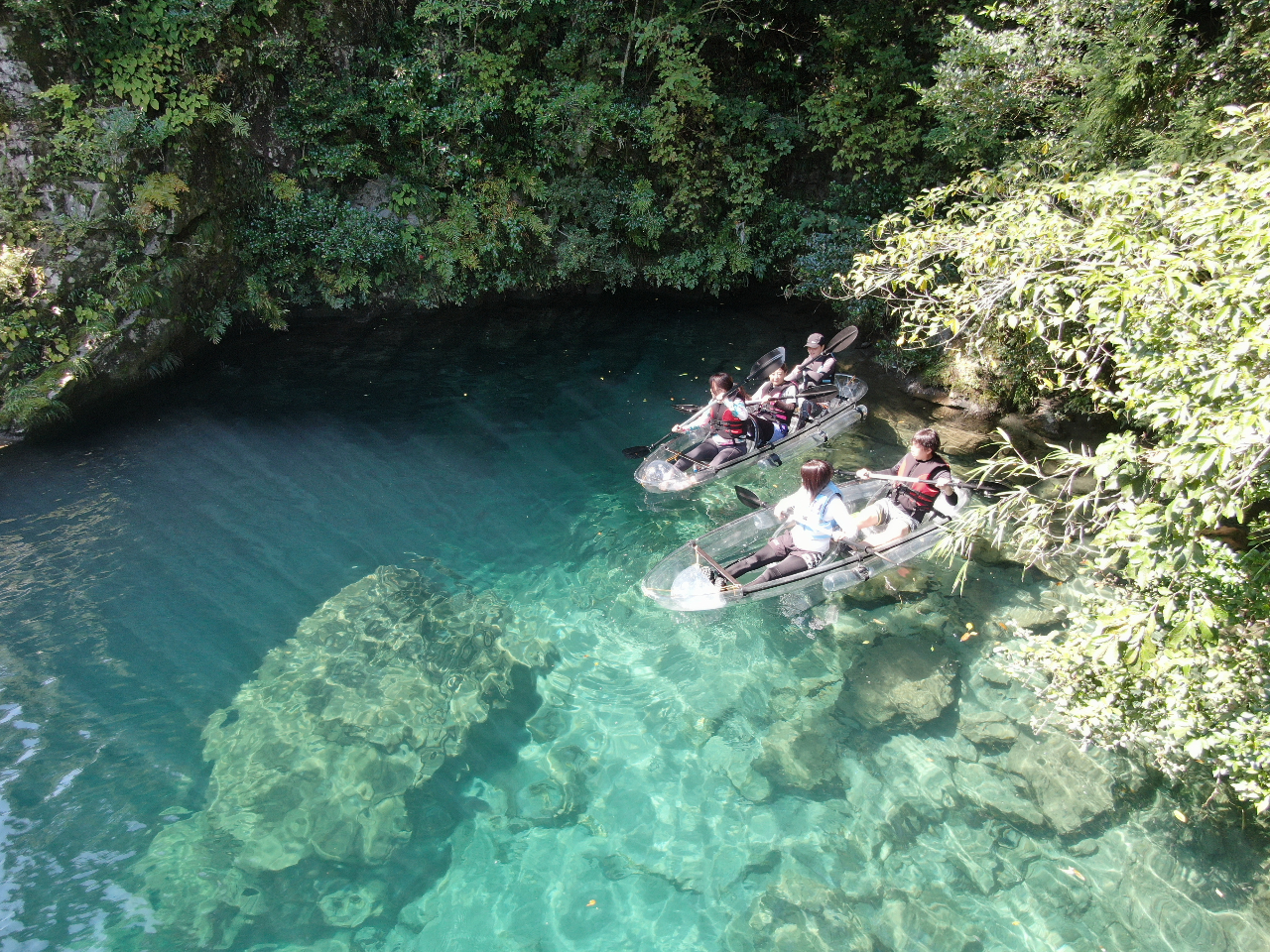 木々の生い茂る自然