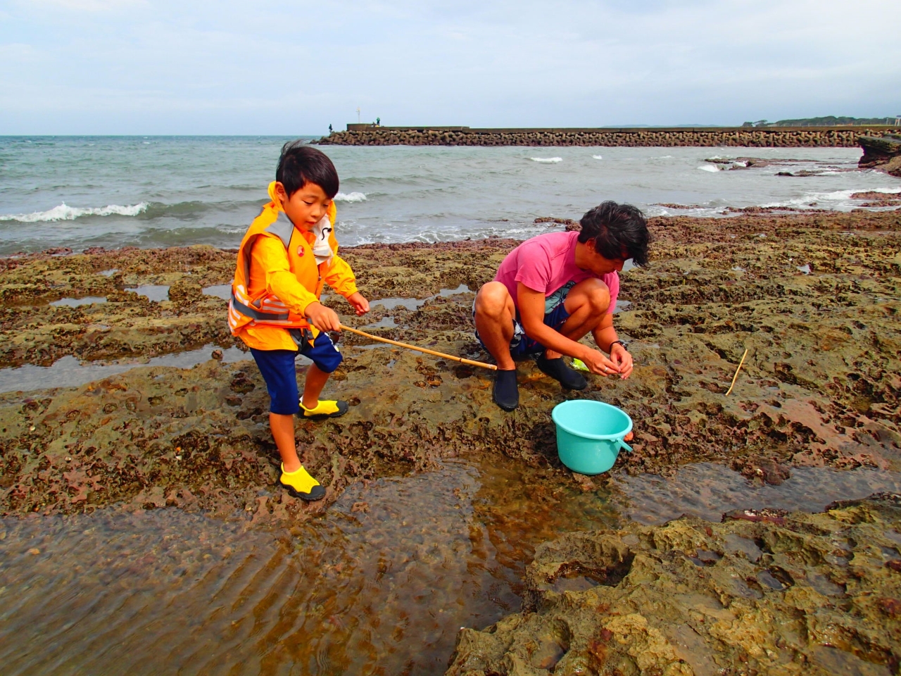 10 4 10 18限定 潮だまりで魚と知恵比べ ハゼのちょい釣り 南房総市観光インフォメーションセンター じゃらん遊び体験