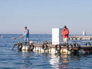 千葉県唯一 イカダ釣りで黒鯛をゲット Let Fishing 南房総市観光インフォメーションセンター じゃらん遊び体験 千葉県唯一 イカダ釣りで黒鯛をゲット Let Fishing 南房総市観光インフォメーションセンター じゃらん遊び体験