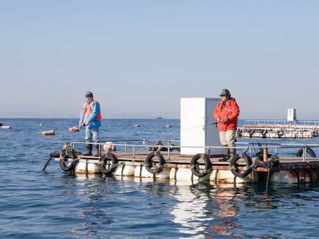 千葉県唯一 イカダ釣りで黒鯛をゲット Let Fishing 南房総市観光インフォメーションセンター じゃらん遊び体験 千葉県唯一 イカダ釣りで黒鯛をゲット Let Fishing 南房総市観光インフォメーションセンター じゃらん遊び体験