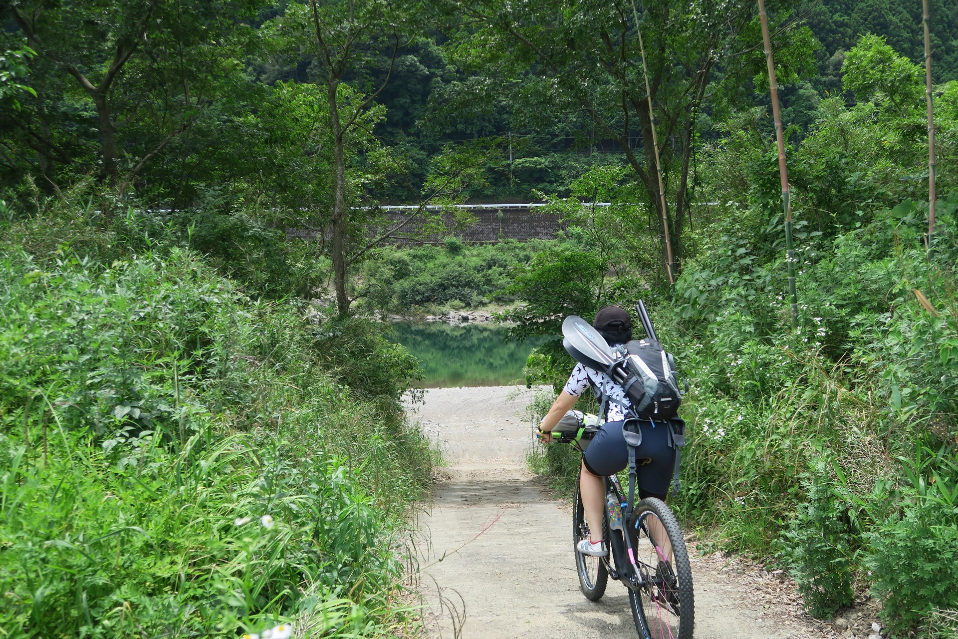 ������֍s�����I