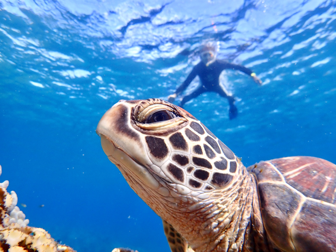 どんなアングルでも映え映え♪