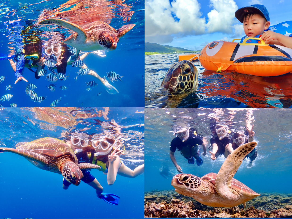 X̃ÑE~KVm[POxĂ݂ĉ