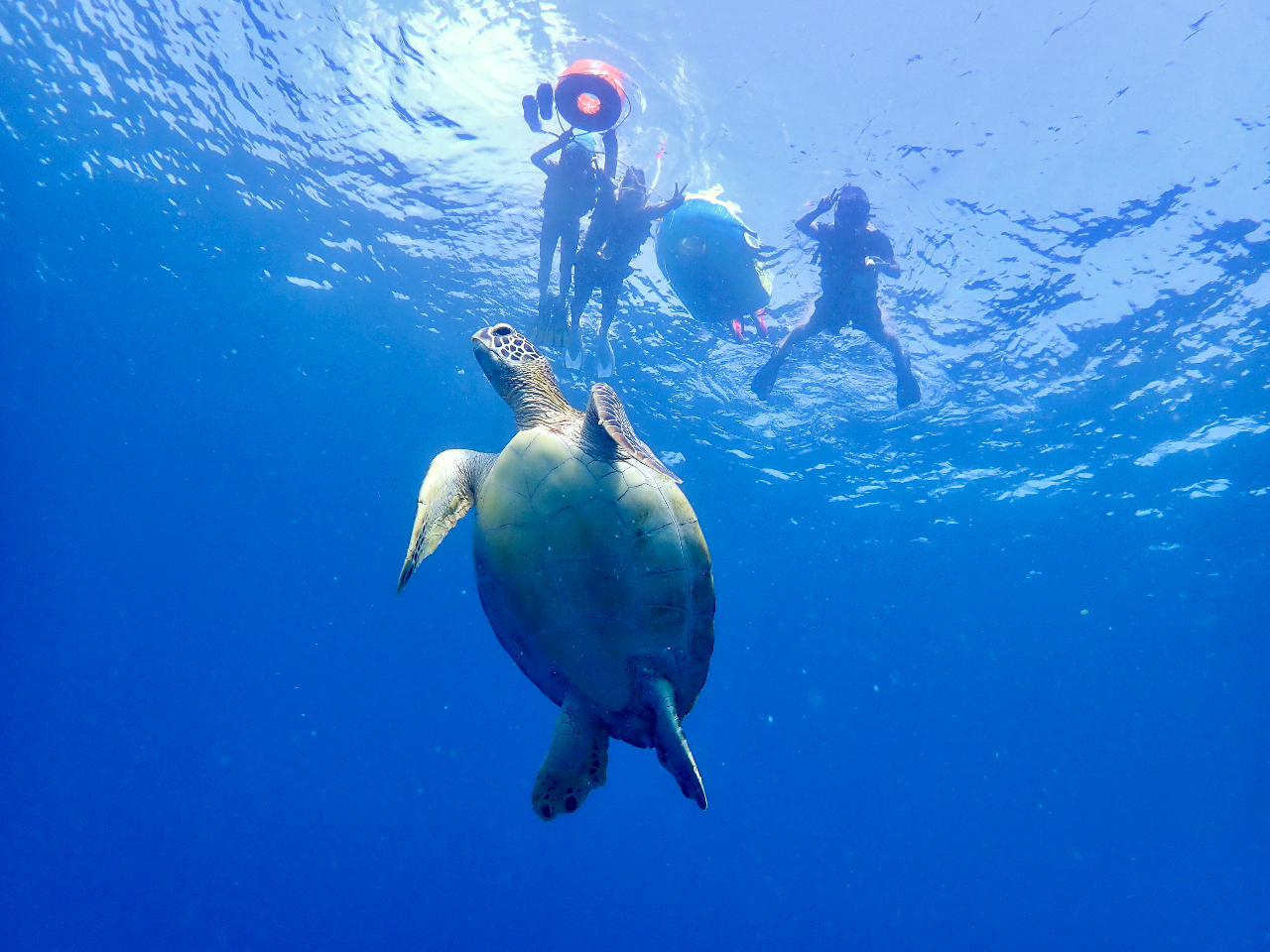 おいらを探しに来てね♪