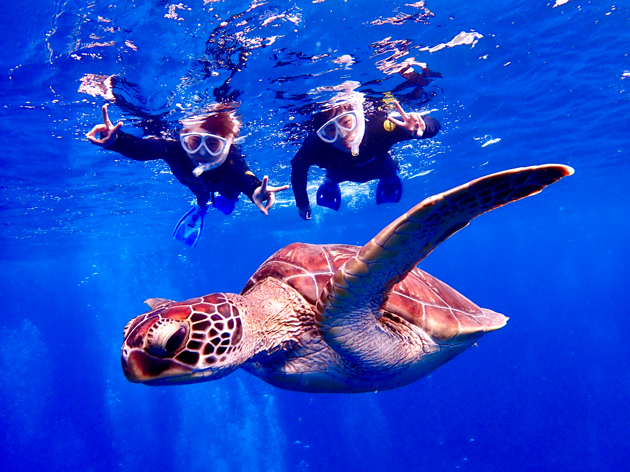 夕方からで行けちゃうカメシュノーケル♪