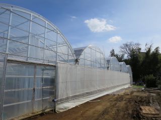 いちご狩り 小泉農園の保木圃場 ファミリーにおすすめ 小泉農園 保木圃場 じゃらん遊び体験