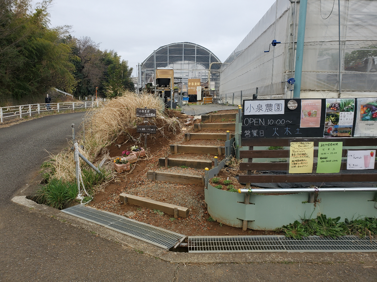 こちらの階段を上ったハウスの中に受付があります。、