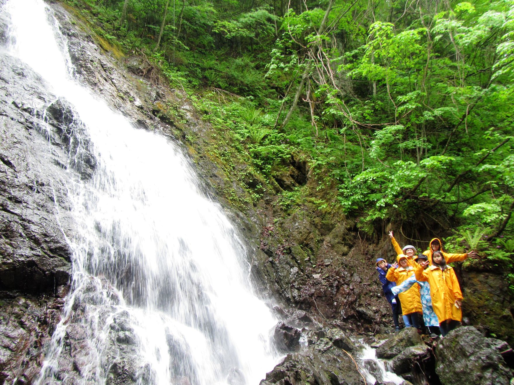 R[Xɂ́uȂ݂̑vuTS̑vӂ̑ꂪAGقǋ߂Â̂͂łB