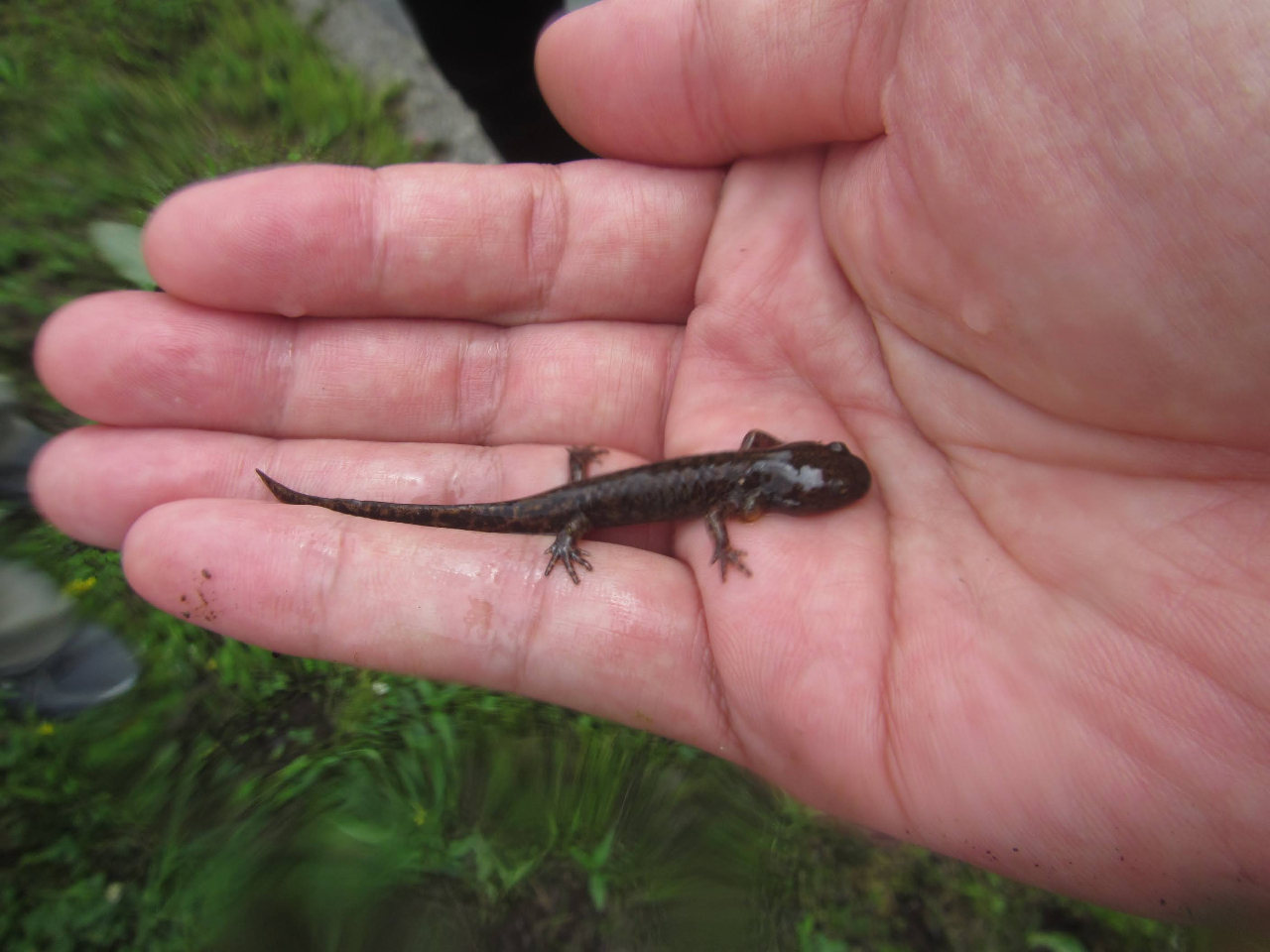 �����r�Ő��������G�]�T���V���E�E�I