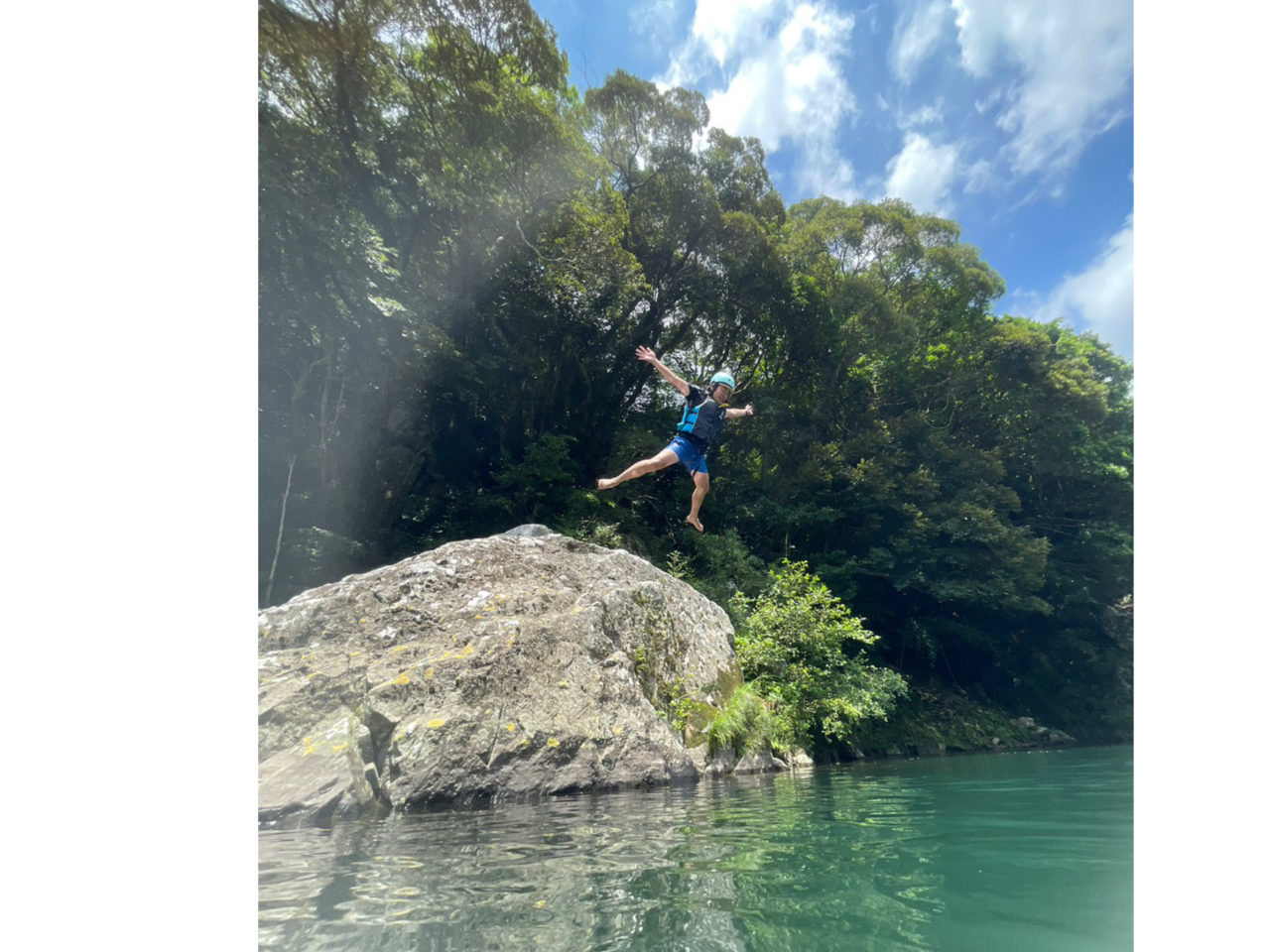 THE@Ă̎voITTr_CuIFȊ݂ė̂`[rÔƂI