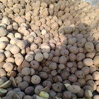 石狩 空知 千歳のいちご狩りランキングtop3 じゃらんnet 石狩 空知 千歳のいちご狩りランキングtop3 じゃらんnet