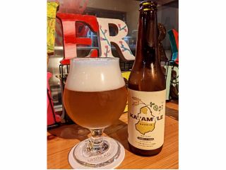 大手のビール工場ではできない「小規模だからこそ体験できる」手作りのビール造りを体験!