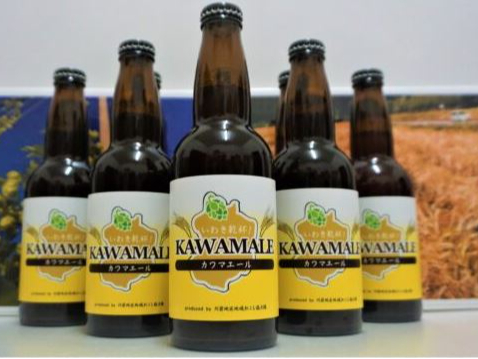 1eu킫tIKAWAMALEiJ}G[jv