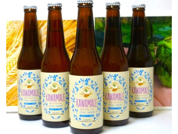 2eu킫tIKAWAMALEiJ}G[jv