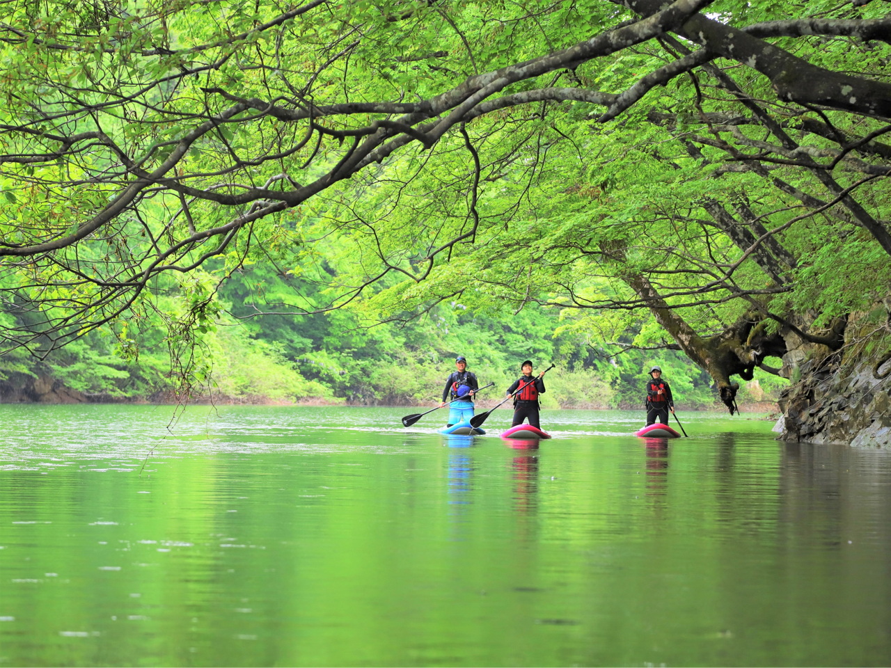 �V�΂̒����̂�т��