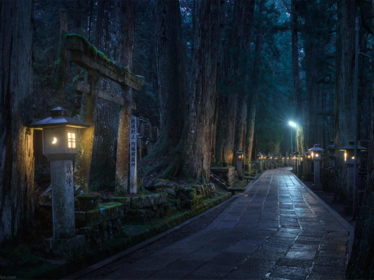 奥の院ナイトツアー