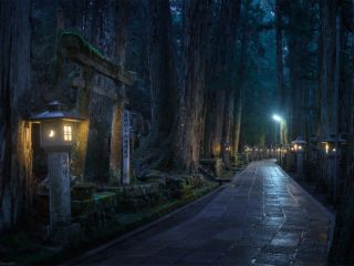 奥の院ナイトツアー