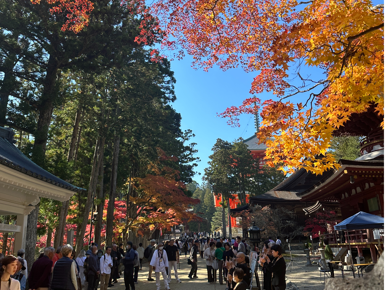 �����g�t