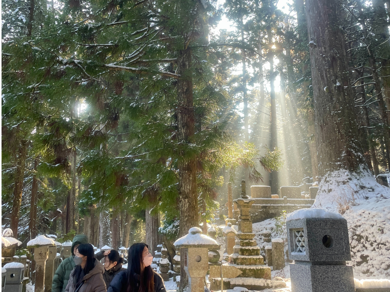 完全貸切】高野山 三大聖地プレミアムツアー 奥之院・金剛峯寺・壇上